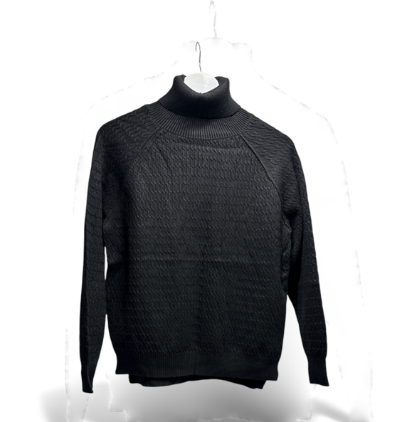 Men's Fashion Turtleneck Sweater